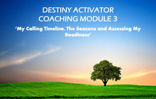 Load image into Gallery viewer, The 2026 Destiny Activator Online Coaching Program - DAOJALL26